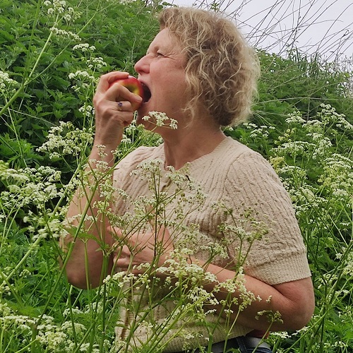 Nancy Engels